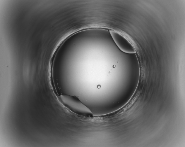 X0000094081006200710191418