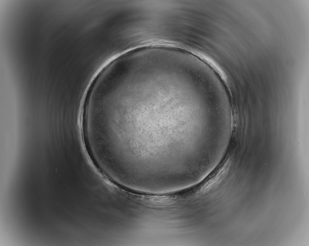 X0000094081007200710191418