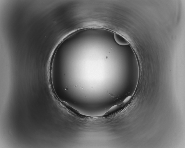 X0000094081008200710191418