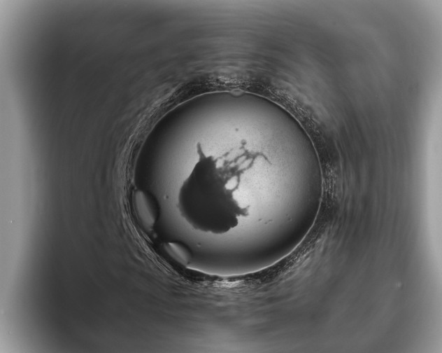 X0000094081009200710191417