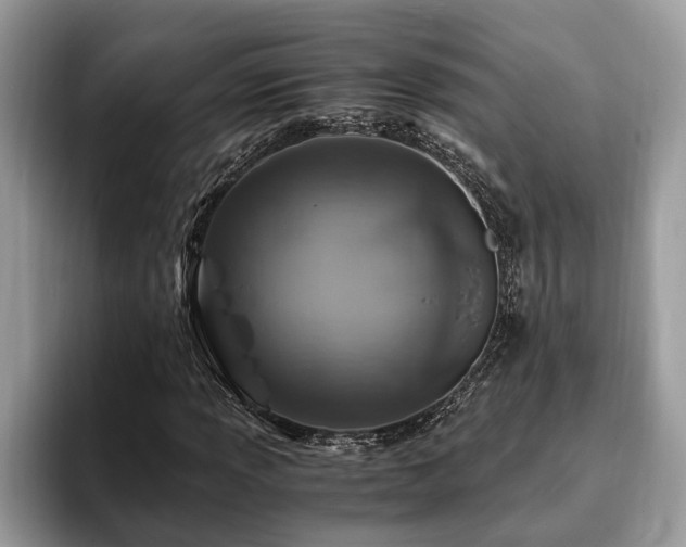 X0000094081013200710191417