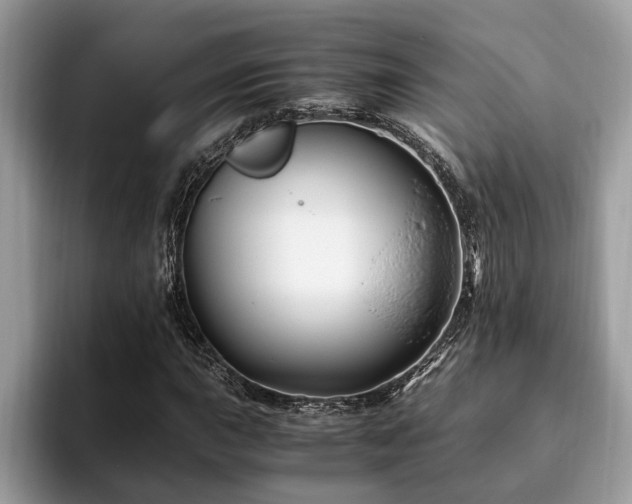 X0000094081015200710191417