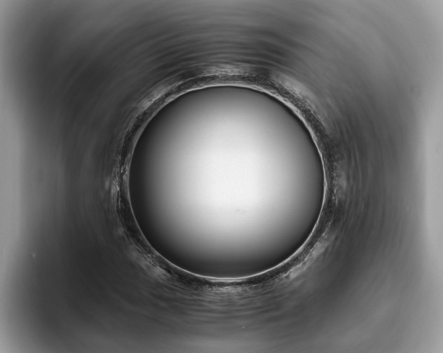 X0000094081017200710191417