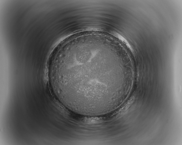 X0000094081019200710191417