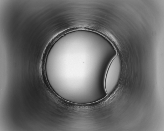 X0000094081020200710191417