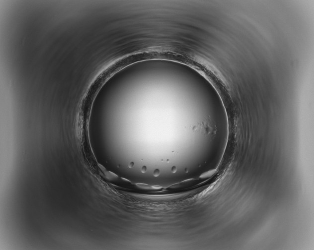 X0000094081021200710191417