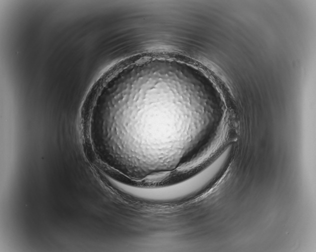 X0000094081022200710191417