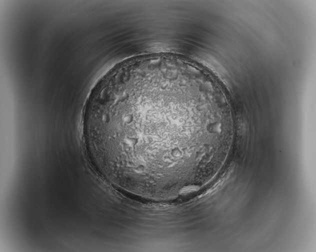 X0000094081023200710191417