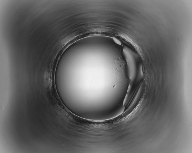 X0000094081025200710191417