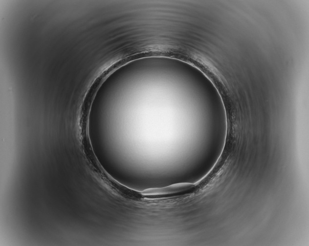 X0000094081026200710191417