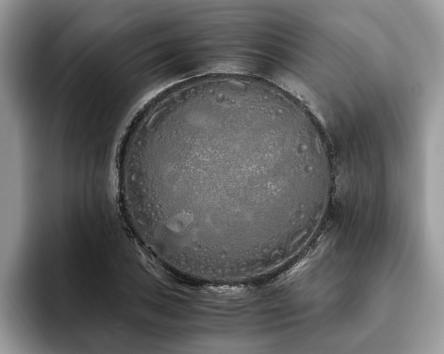 X0000094081027200710191417