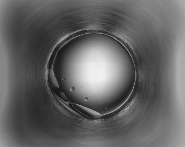 X0000094081029200710191417