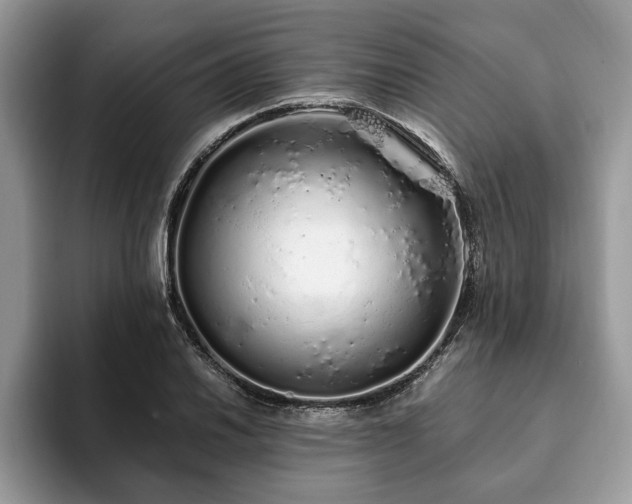 X0000094081030200710191418