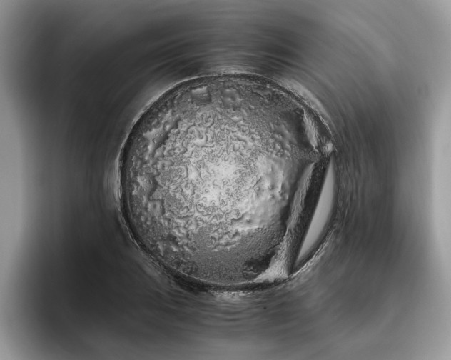 X0000094081031200710191418