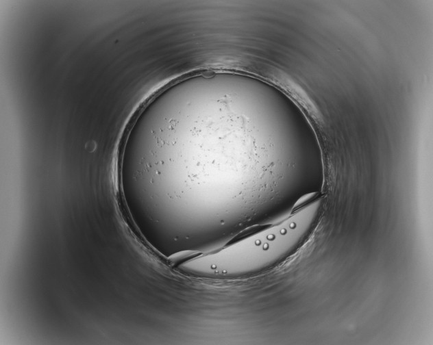 X0000094081036200710191418