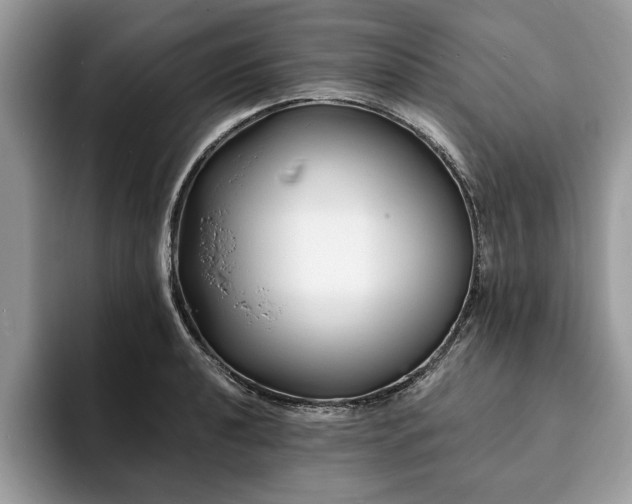 X0000094081040200710191418