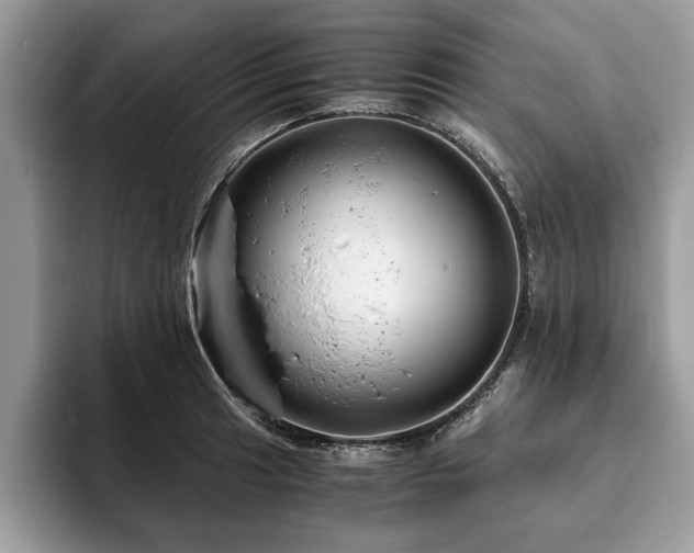 X0000094081041200710191418