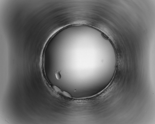 X0000094081044200710191418