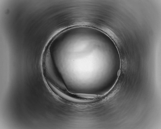 X0000094081046200710191418