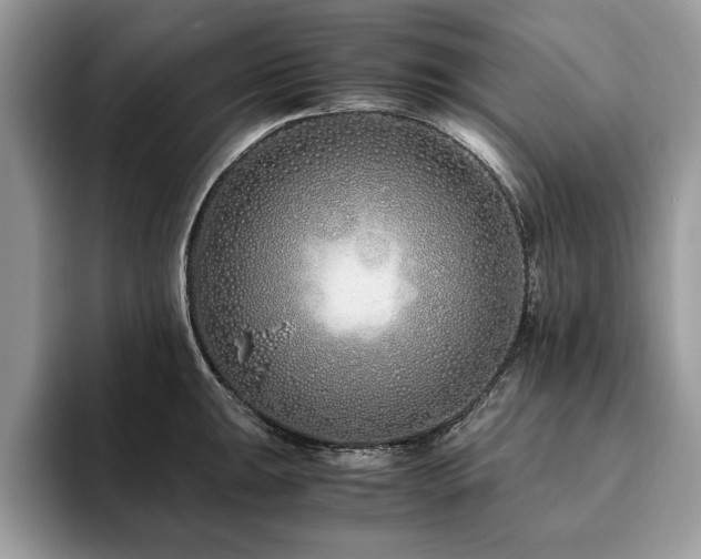 X0000094081047200710191418