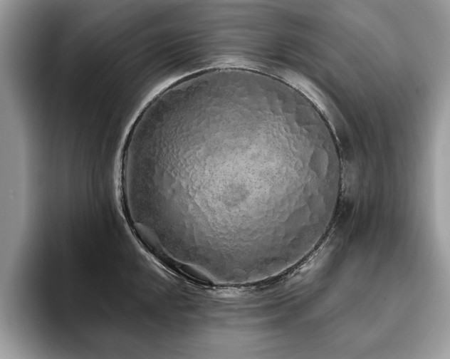 X0000094081048200710191418