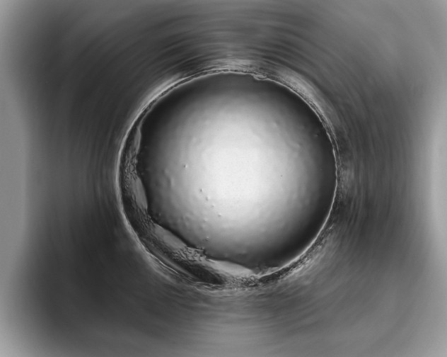 X0000094081050200710191418