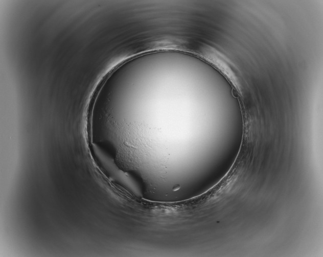 X0000094081051200710191418