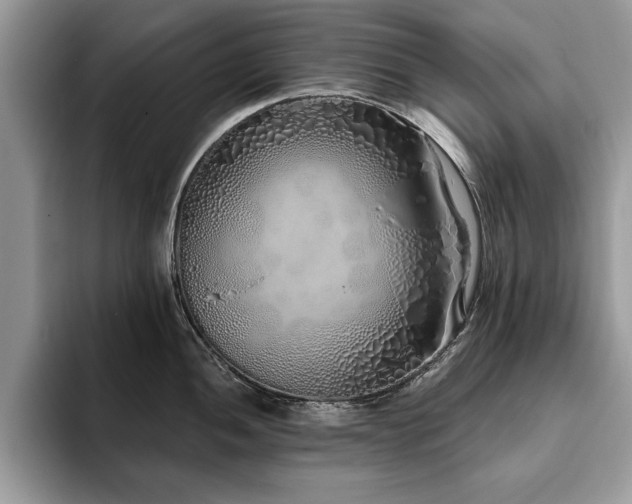 X0000094081052200710191418