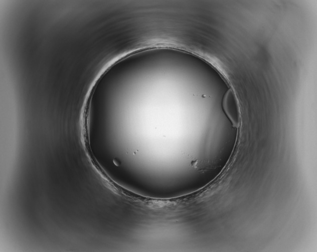 X0000094081056200710191418