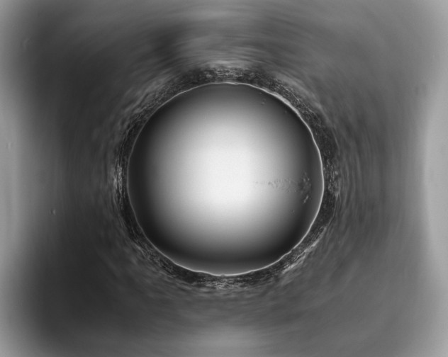 X0000094081061200710191417