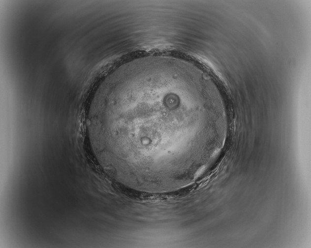 X0000094081063200710191417