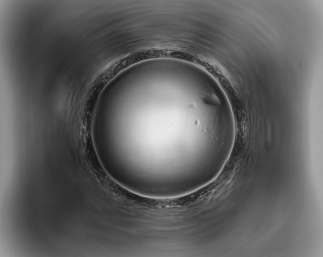 X0000094081064200710191417