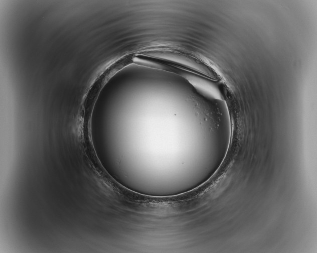 X0000094081066200710191417