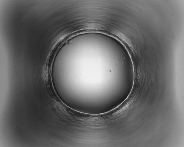 X0000094081067200710191417