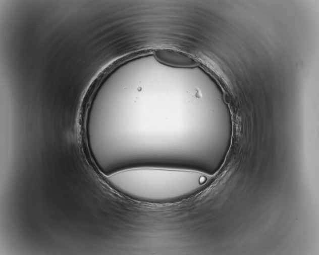 X0000094081068200710191417