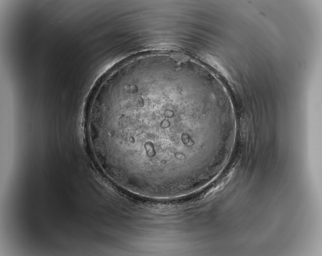 X0000094081071200710191417