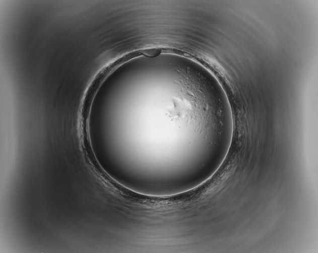 X0000094081072200710191417