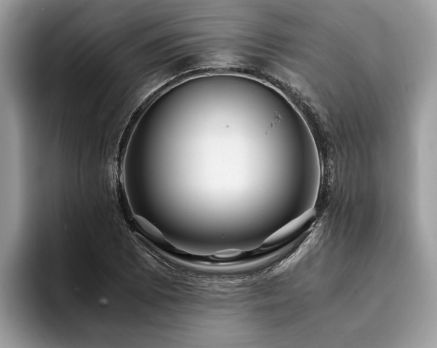 X0000094081073200710191417