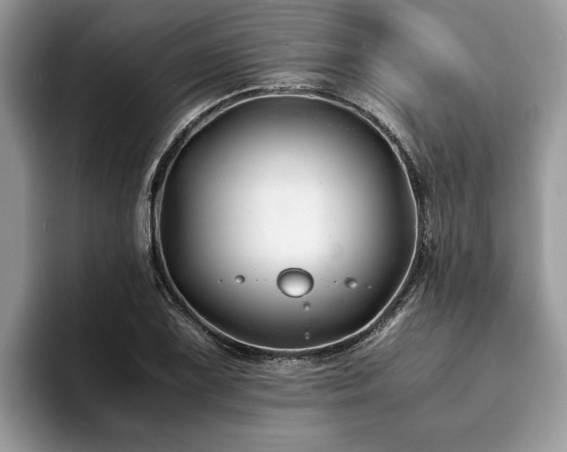 X0000094081075200710191417