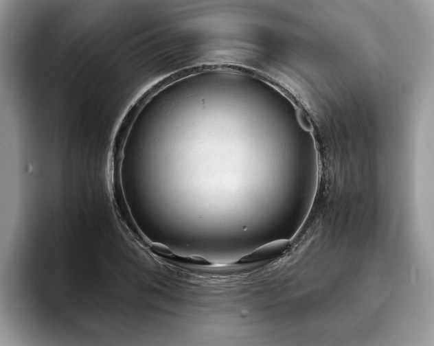 X0000094081076200710191417