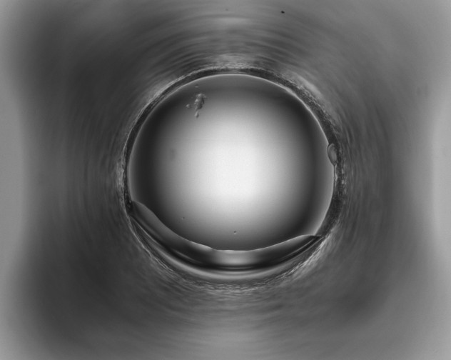 X0000094081081200710191417