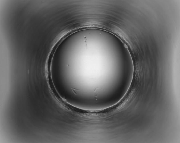 X0000094081082200710191417