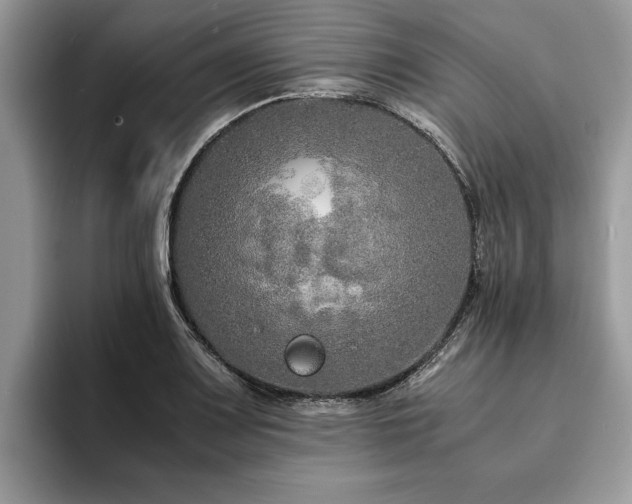 X0000094081083200710191417