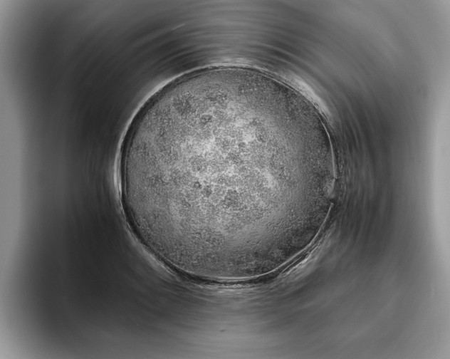 X0000094081084200710191417