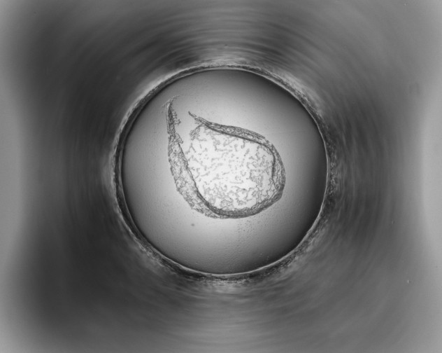 X0000094081086200710191417