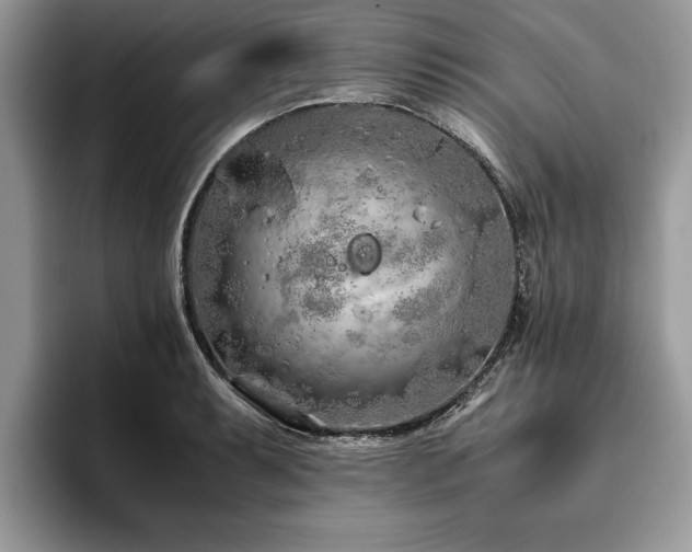 X0000094081087200710191417