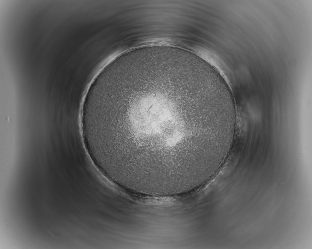 X0000094081090200710191417