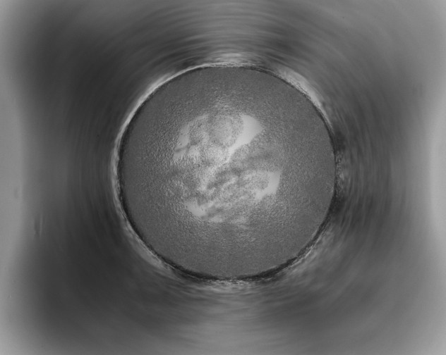 X0000094081091200710191417