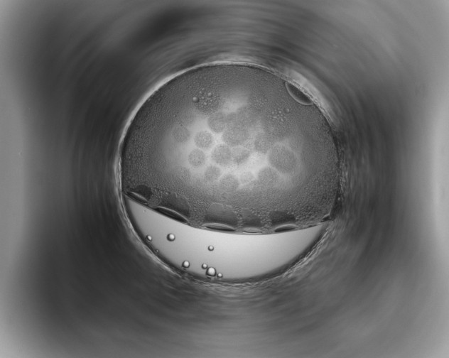 X0000094081092200710191417