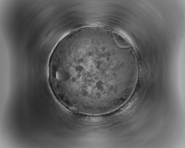 X0000094081095200710191417